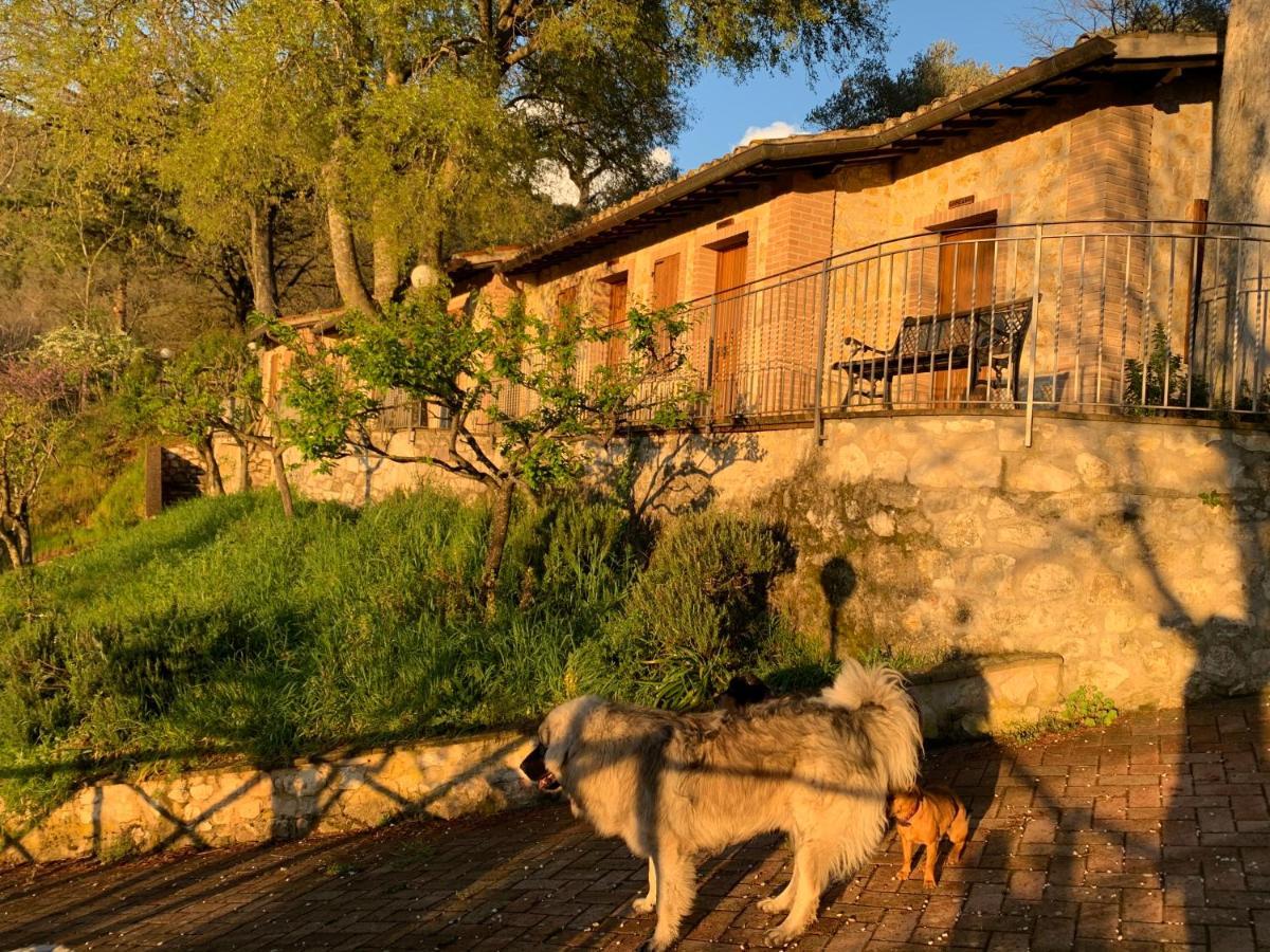 SetterHouseAgriHotel Trevi Buitenkant foto