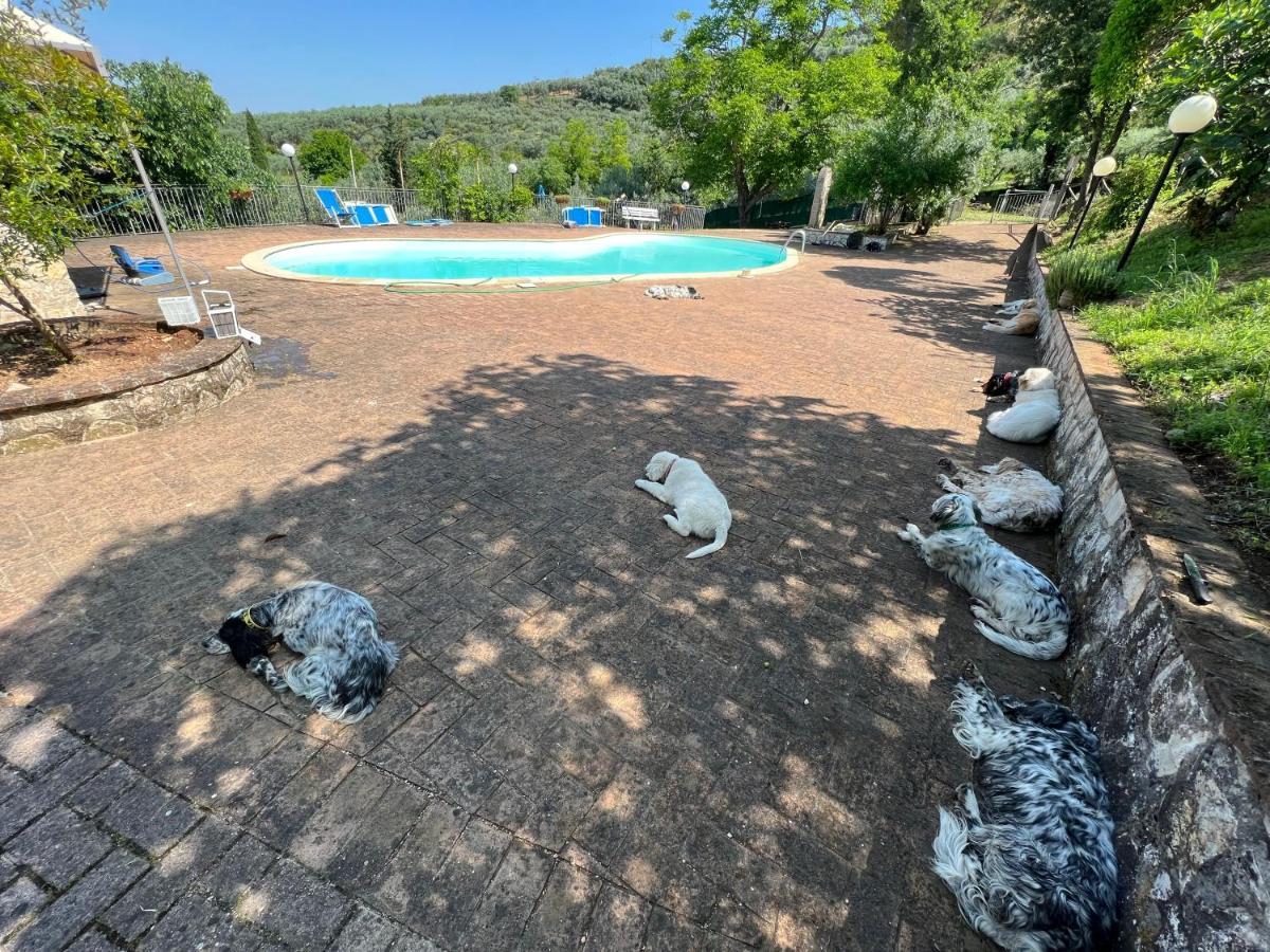 SetterHouseAgriHotel Trevi Buitenkant foto