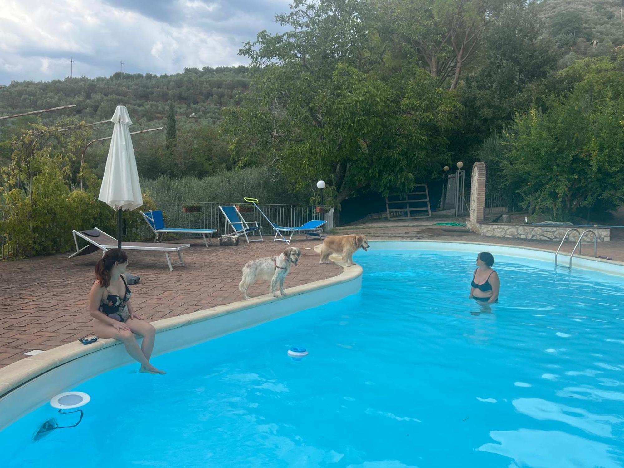 SetterHouseAgriHotel Trevi Buitenkant foto